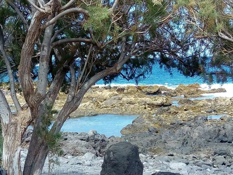 Appartamento Buenavistera Buenavista Del Norte